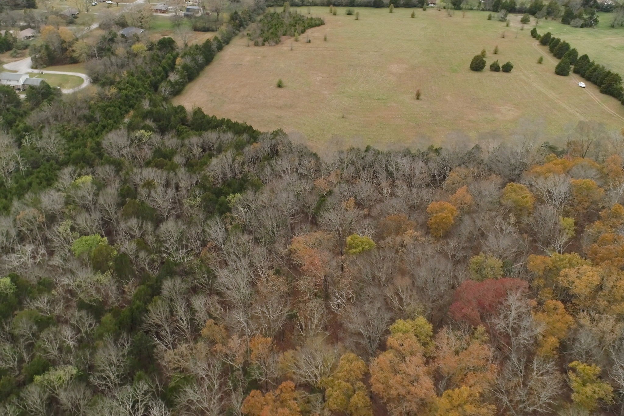 3923 Hunters Point Pike Property Photo 53