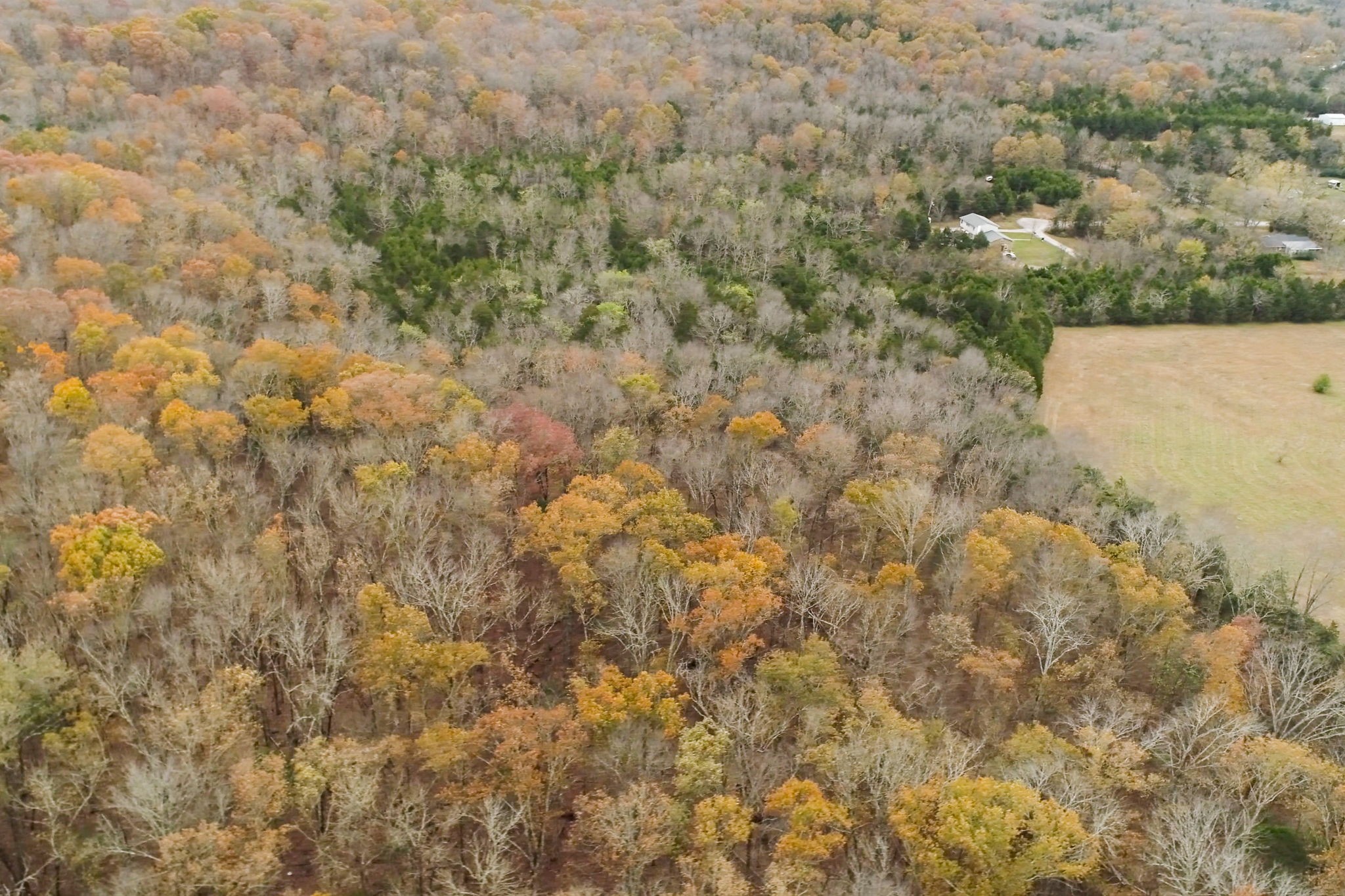 3923 Hunters Point Pike Property Photo 56