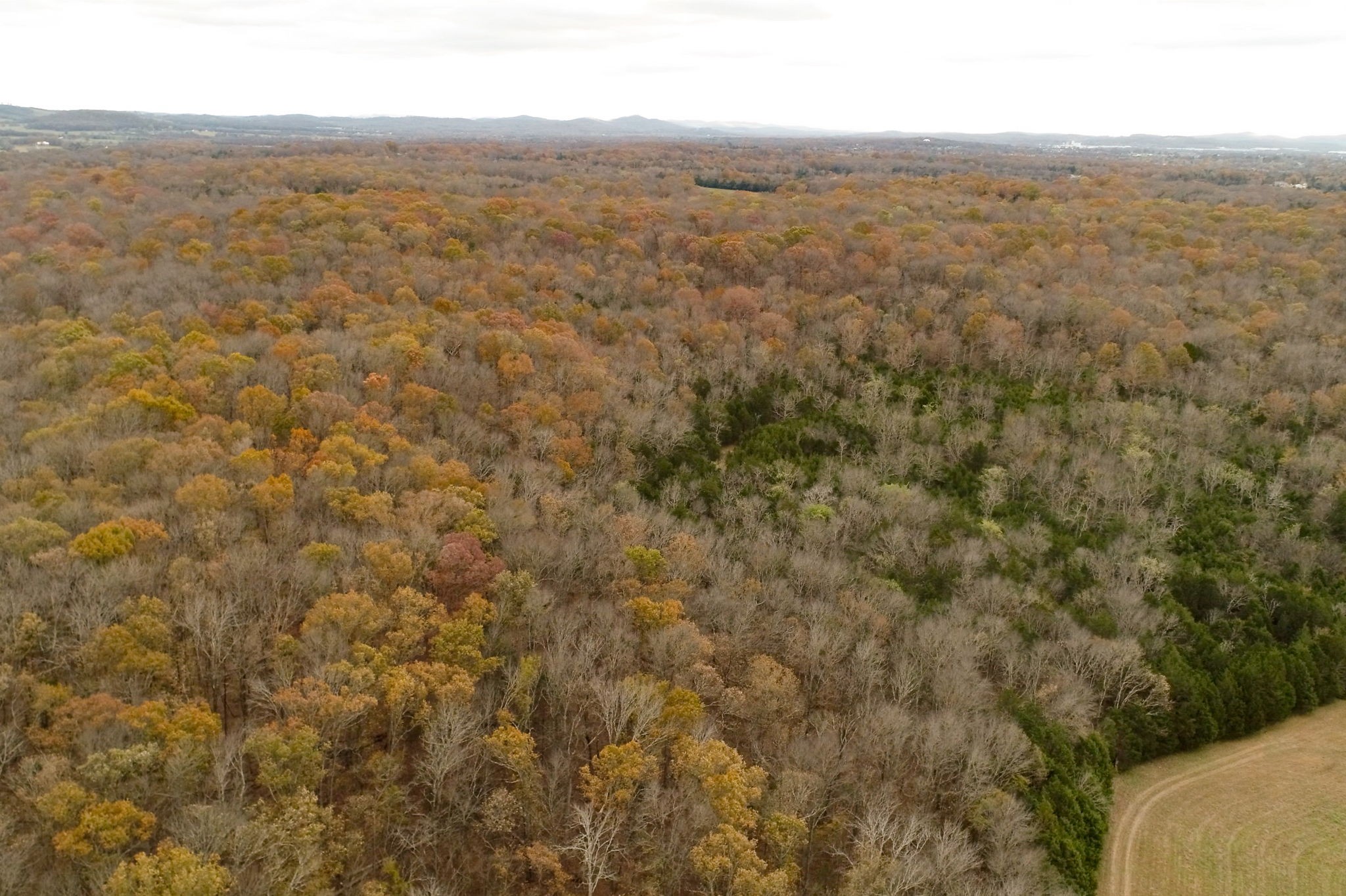 3923 Hunters Point Pike Property Photo 57