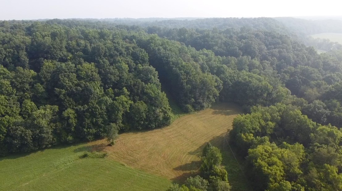 5875 Green Chapel Rd Property Photo 3