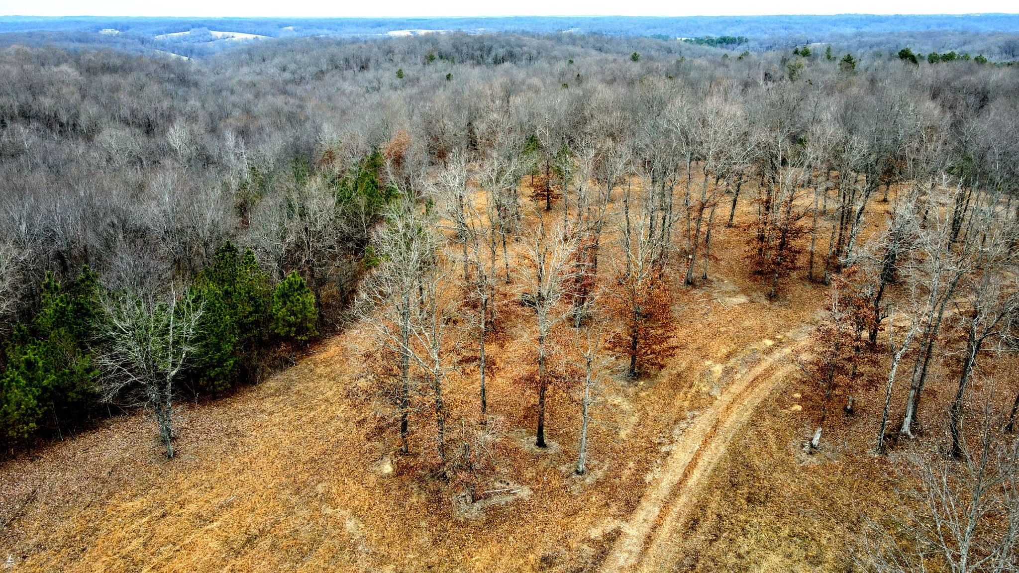1090 Brown Mill Rd Property Photo 4