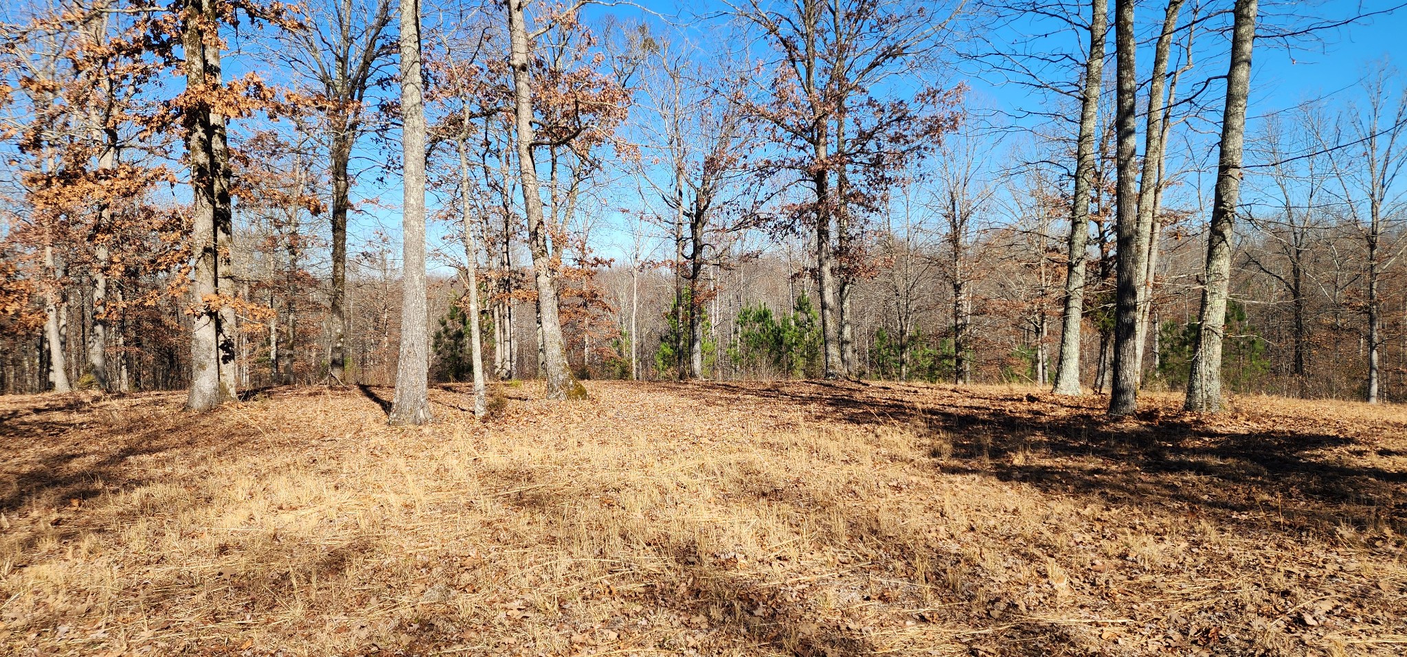 1090 Brown Mill Rd Property Photo 5