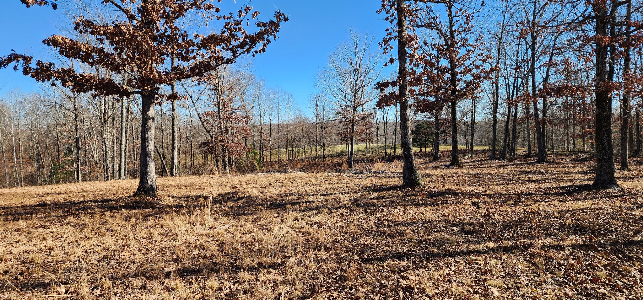 1090 Brown Mill Rd Property Photo 6