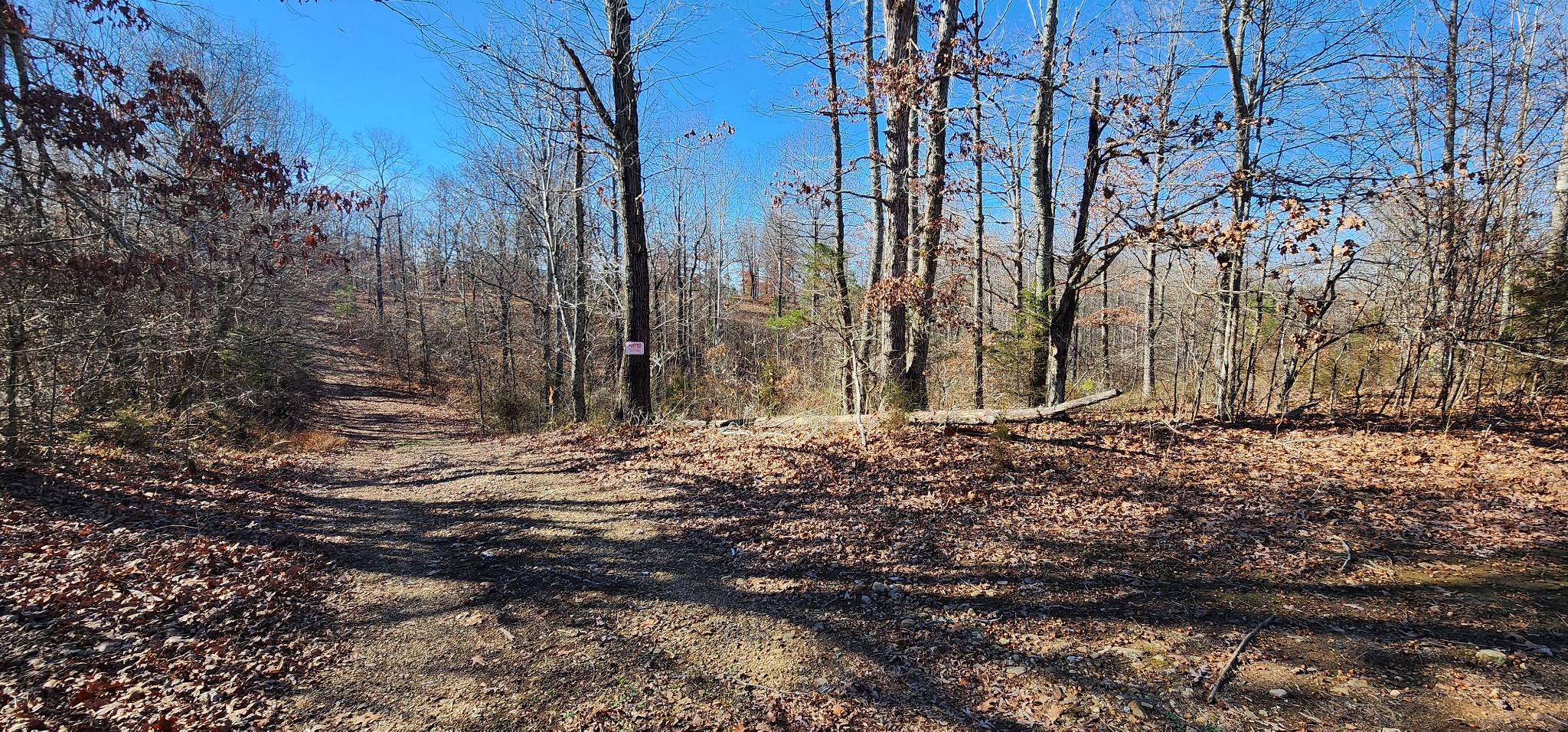 1090 Brown Mill Rd Property Photo 7