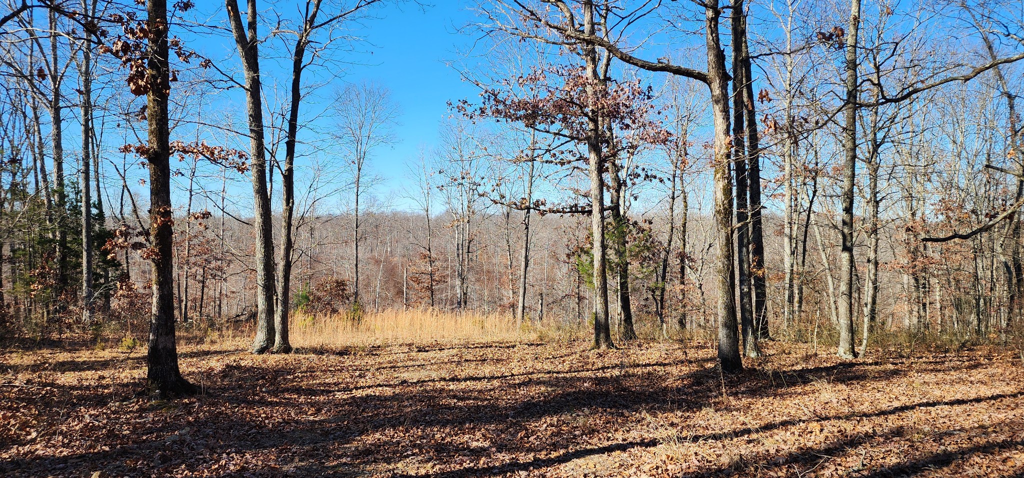 1090 Brown Mill Rd Property Photo 8
