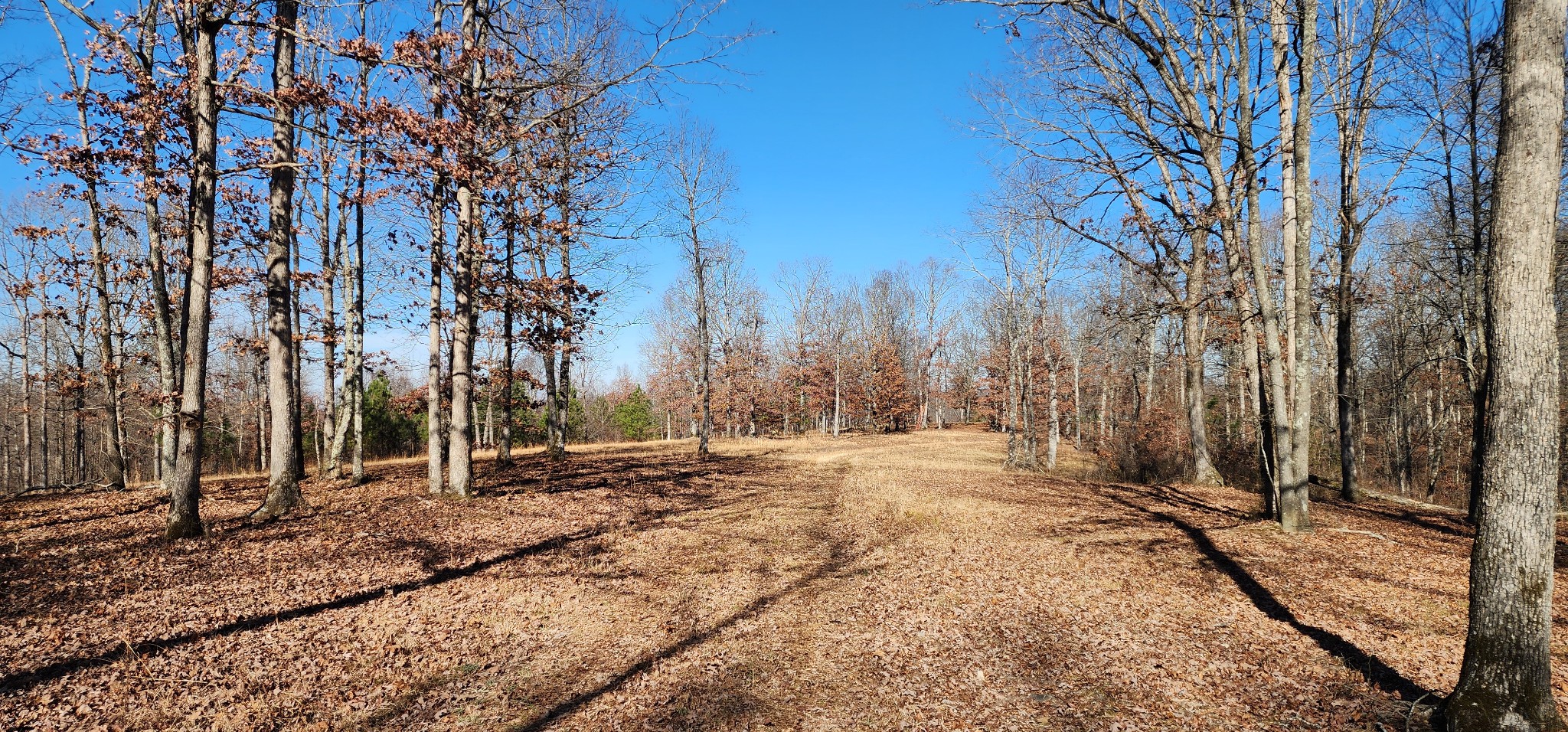 1090 Brown Mill Rd Property Photo 16