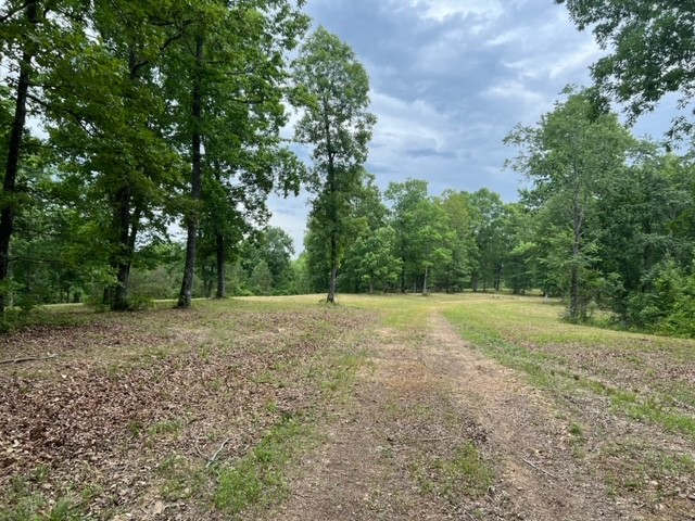 1090 Brown Mill Rd Property Photo 17
