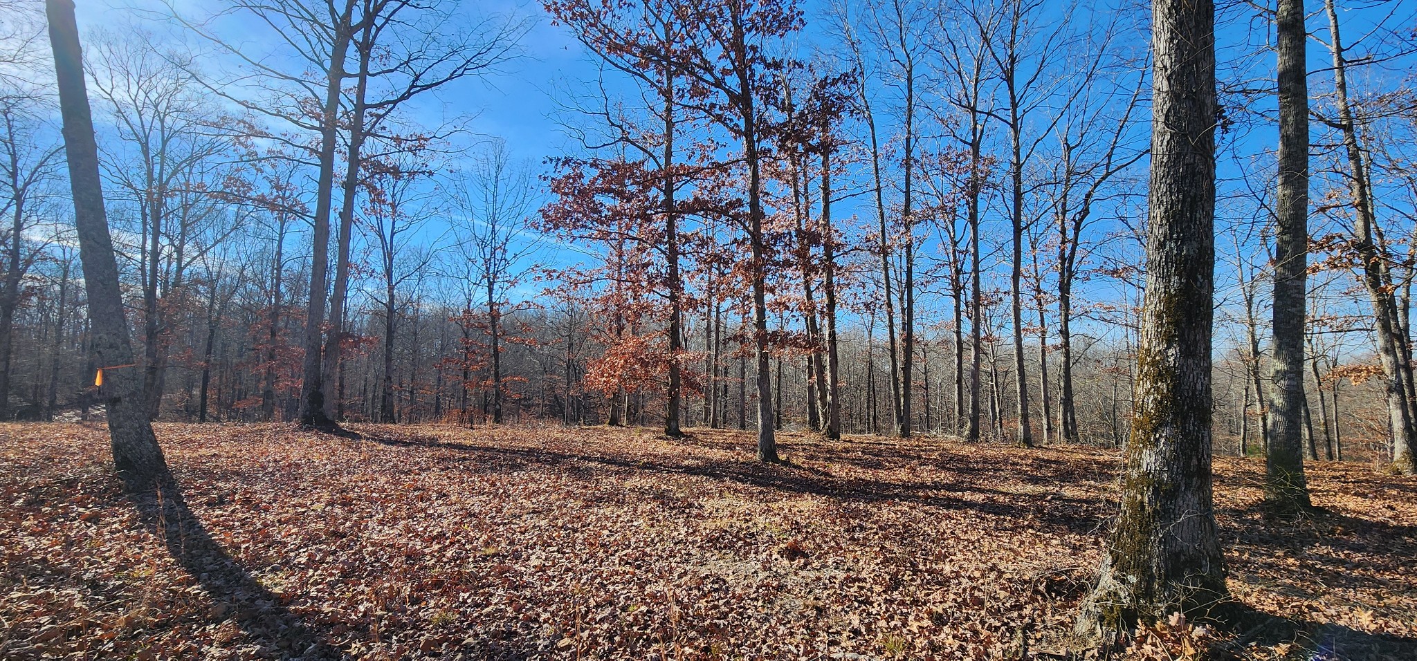 1090 Brown Mill Rd Property Photo 18