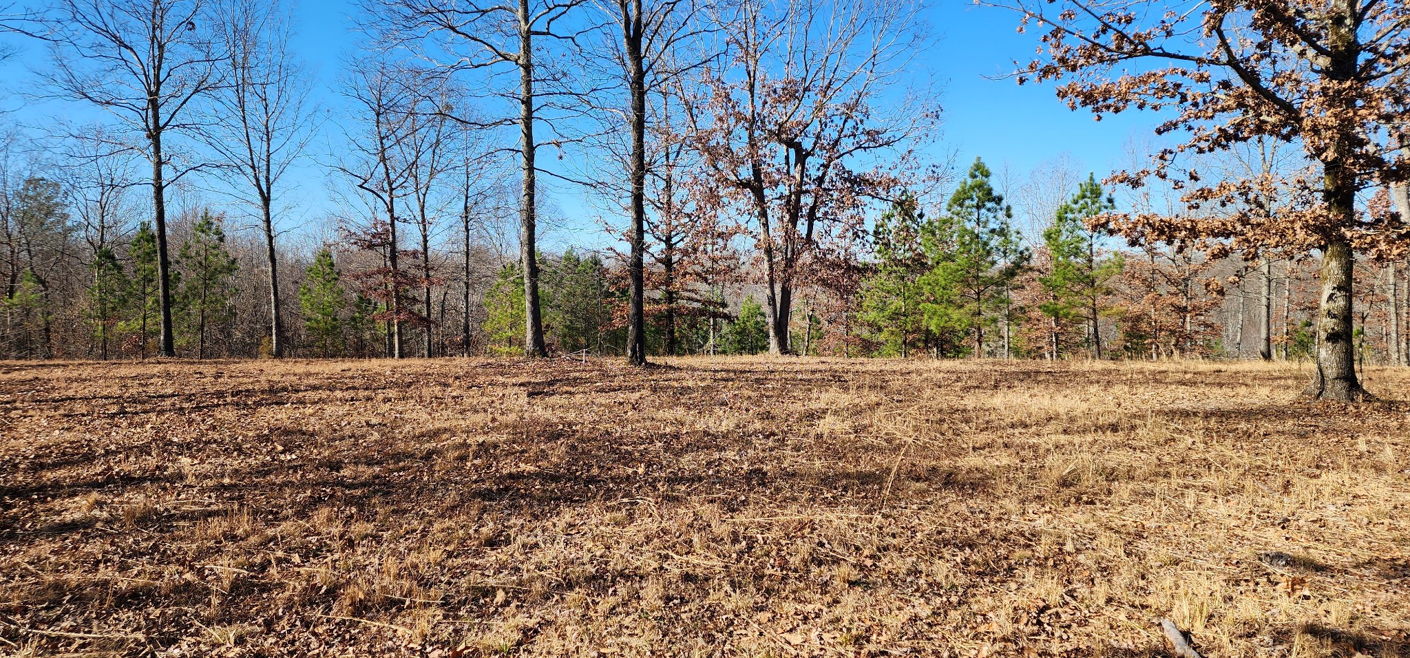 1090 Brown Mill Rd Property Photo 19