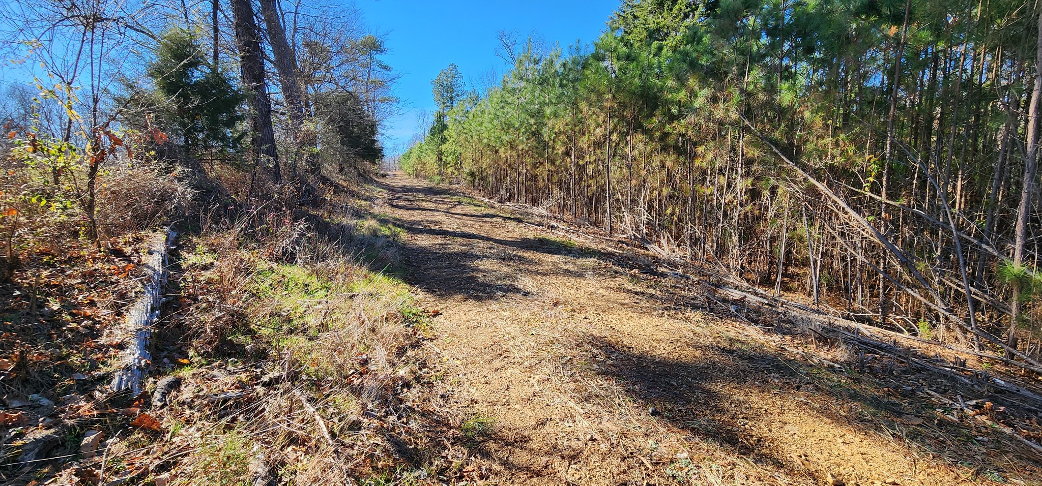 1090 Brown Mill Rd Property Photo 20