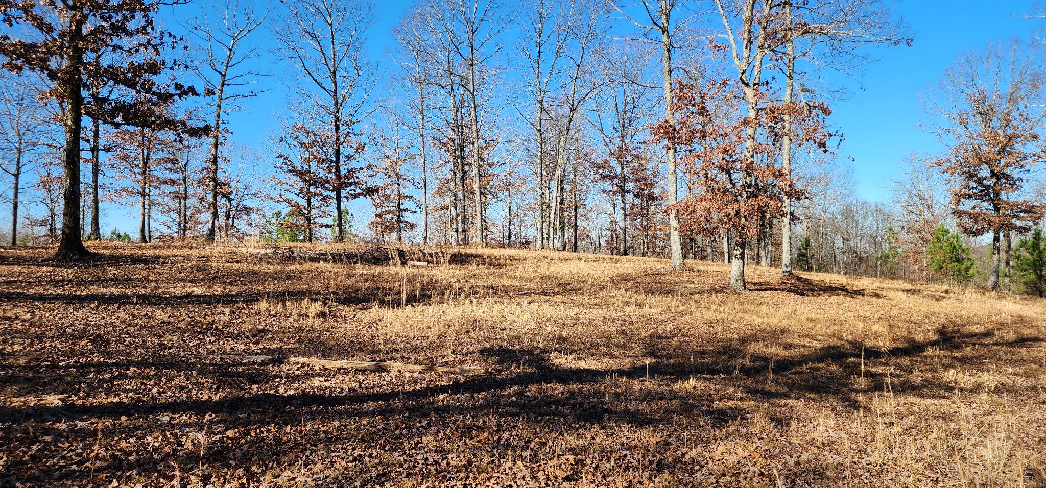 1090 Brown Mill Rd Property Photo 21