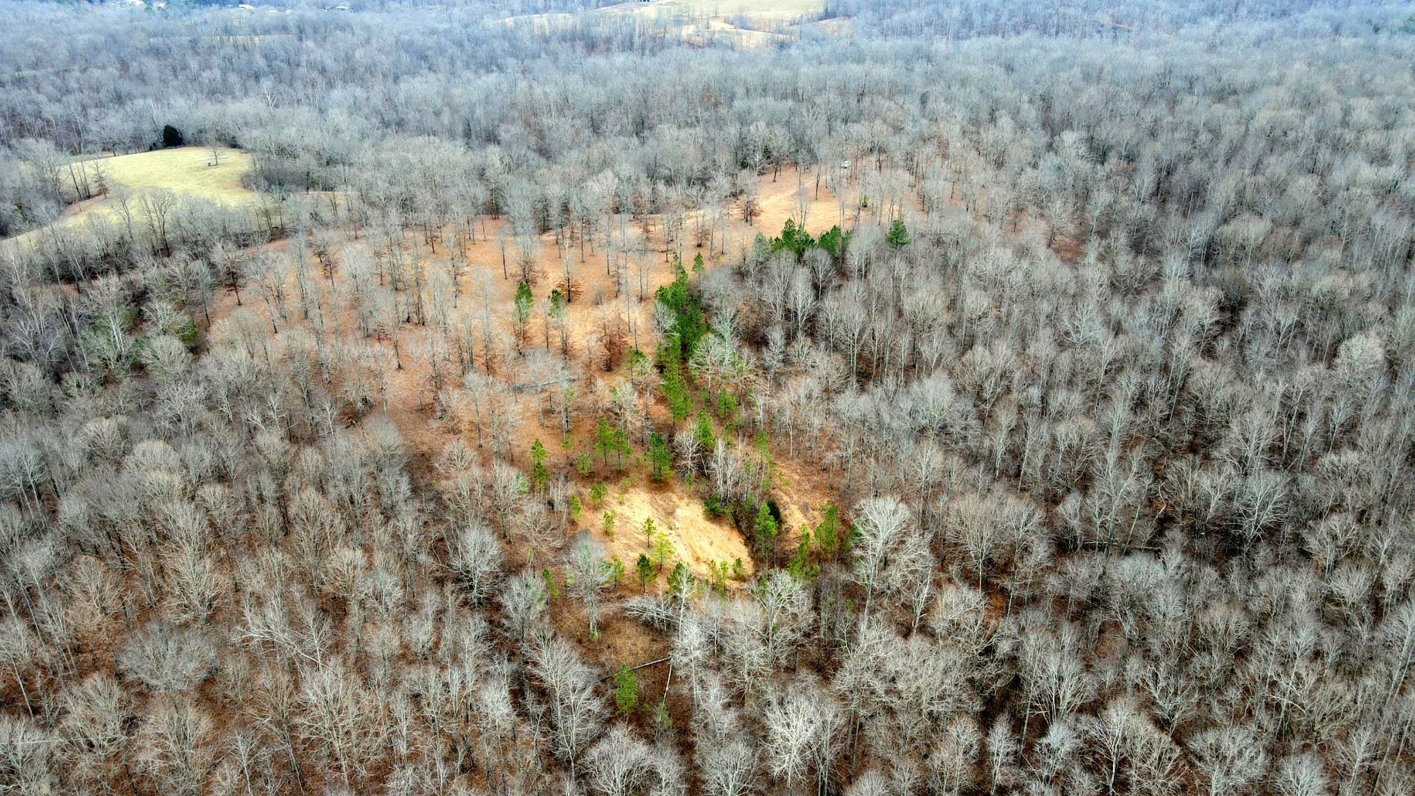 1090 Brown Mill Rd Property Photo 24