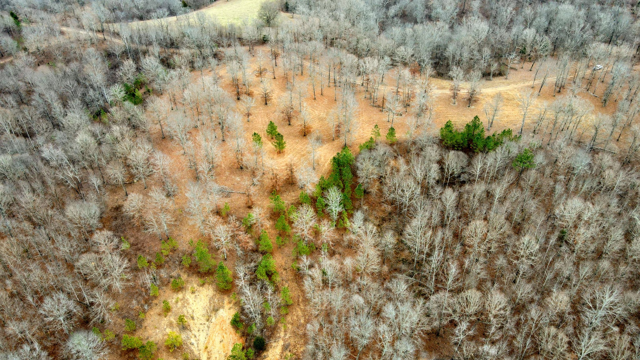 1090 Brown Mill Rd Property Photo 27