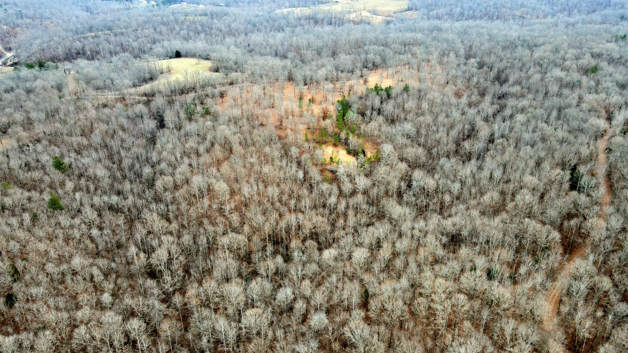 1090 Brown Mill Rd Property Photo 28