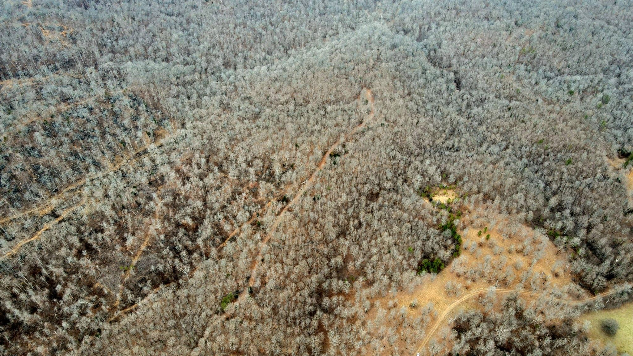 1090 Brown Mill Rd Property Photo 32