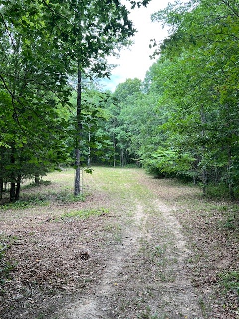 1090 Brown Mill Rd Property Photo 33