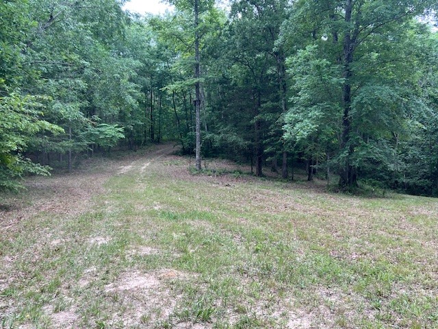 1090 Brown Mill Rd Property Photo 34