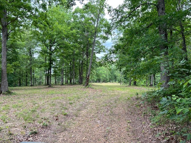 1090 Brown Mill Rd Property Photo 35