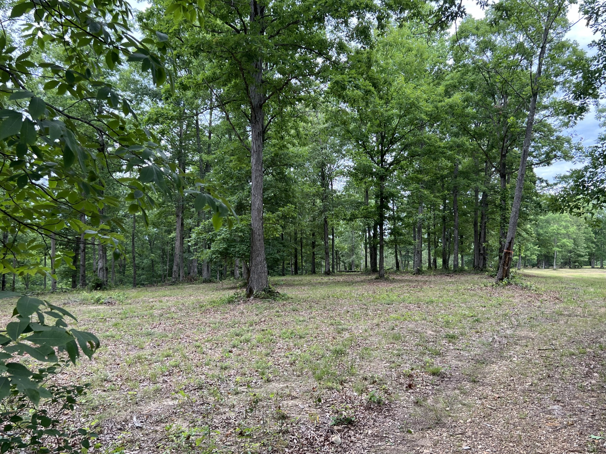 1090 Brown Mill Rd Property Photo 37