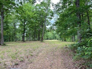 1090 Brown Mill Rd Property Photo 38