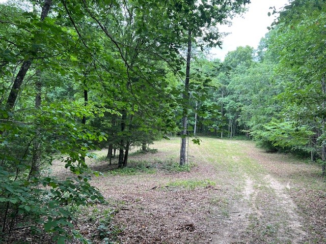 1090 Brown Mill Rd Property Photo 40