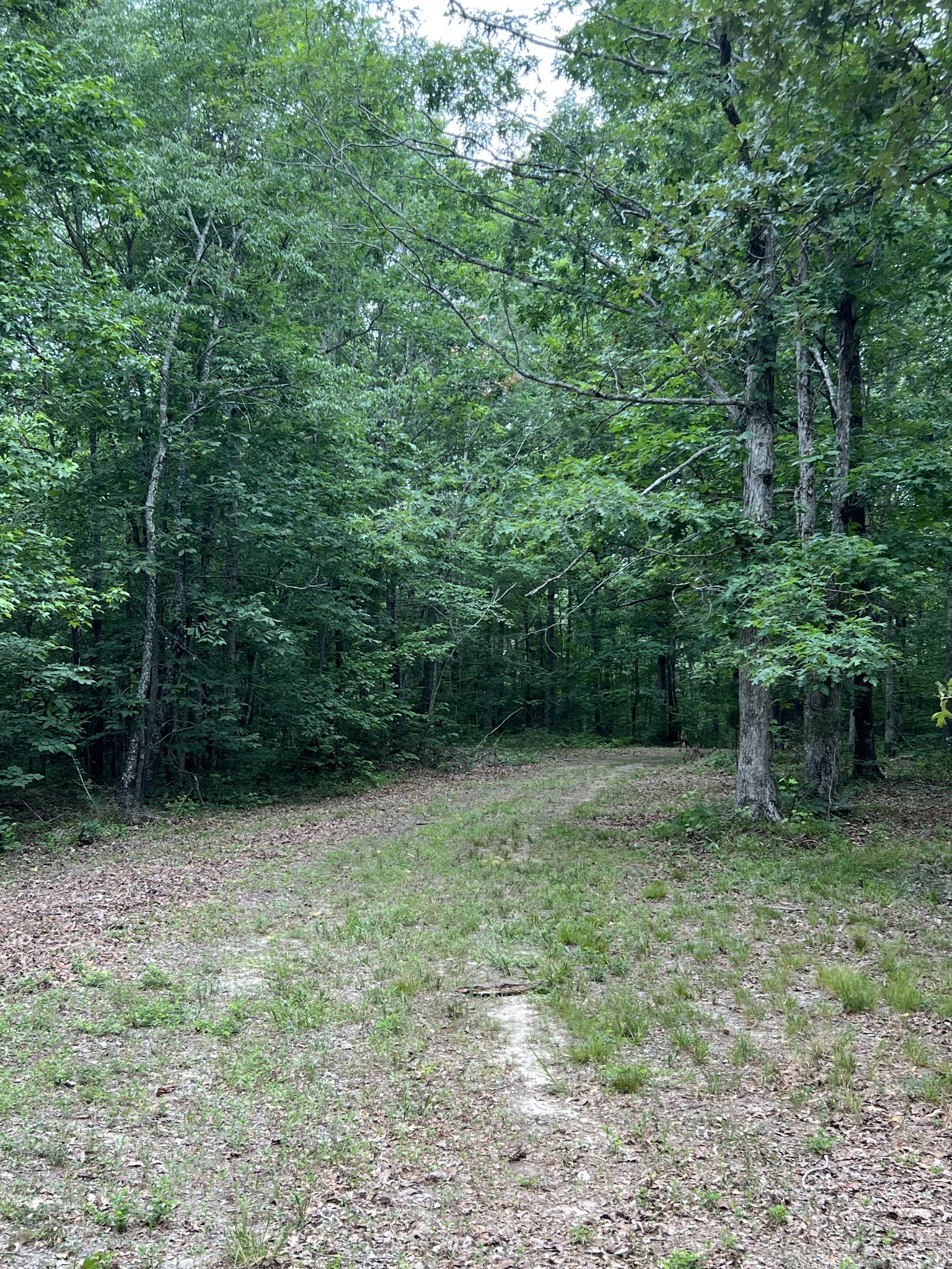 1090 Brown Mill Rd Property Photo 42