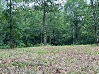 1090 Brown Mill Rd Property Photo 43