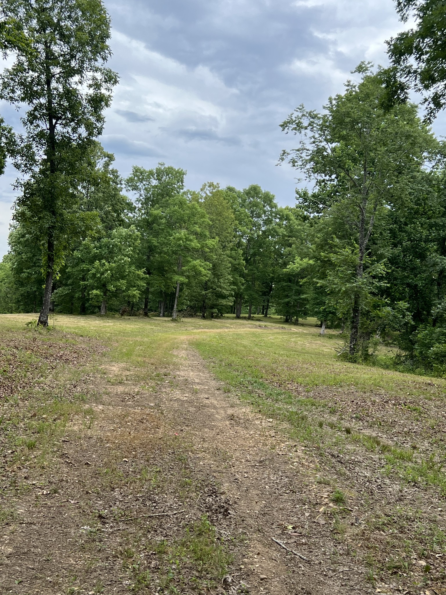 1090 Brown Mill Rd Property Photo 44
