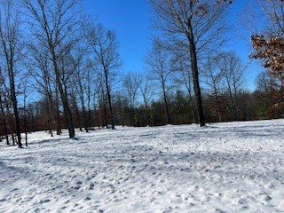 1090 Brown Mill Rd Property Photo 47