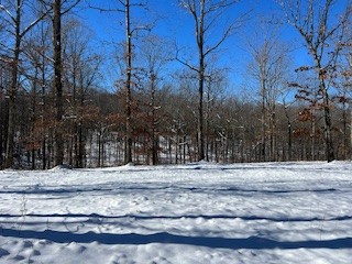 1090 Brown Mill Rd Property Photo 53