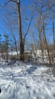 1090 Brown Mill Rd Property Photo 54