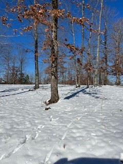 1090 Brown Mill Rd Property Photo 55