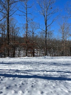 1090 Brown Mill Rd Property Photo 57