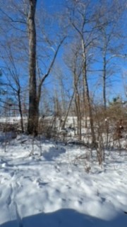 1090 Brown Mill Rd Property Photo 58