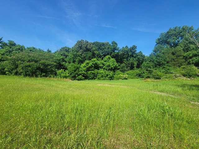 175 N Main St Property Photo 3