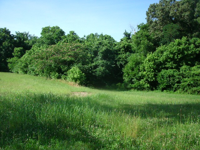 175 N Main St Property Photo 9