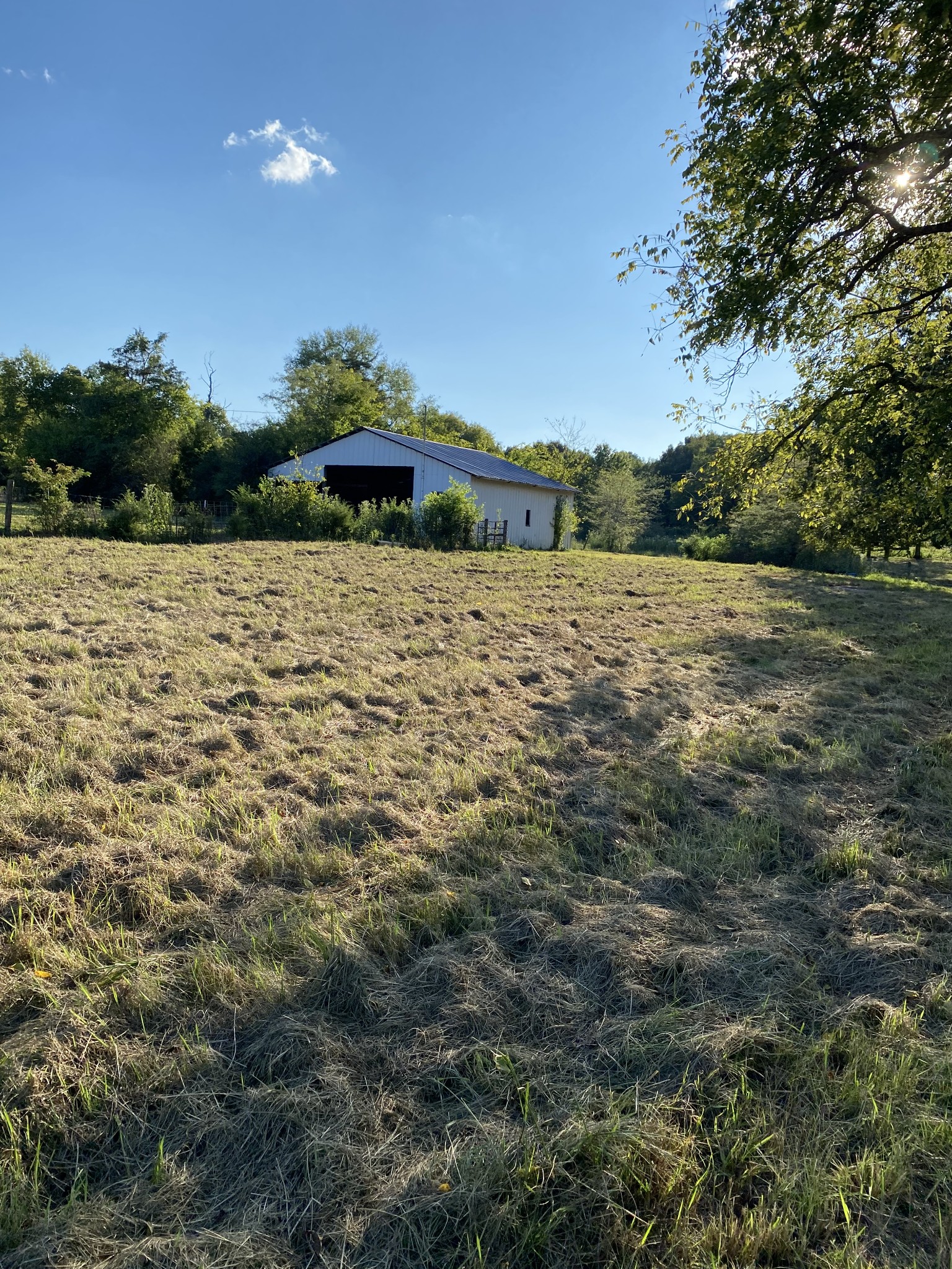 0 Mullins Chapel Rd Property Photo 5