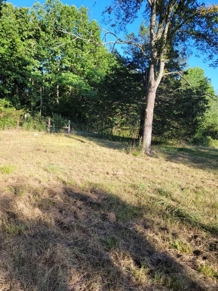 0 Mullins Chapel Rd Property Photo 10