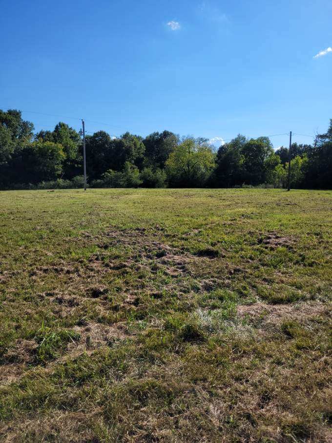 0 Mullins Chapel Rd Property Photo 11