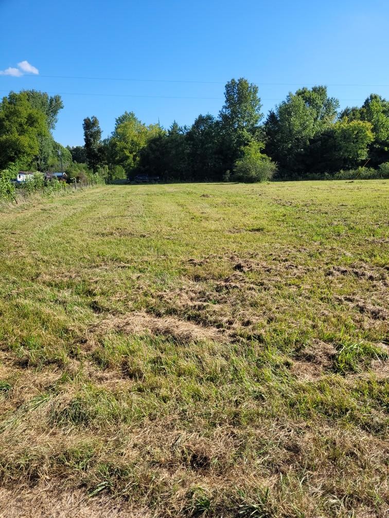 0 Mullins Chapel Rd Property Photo 12