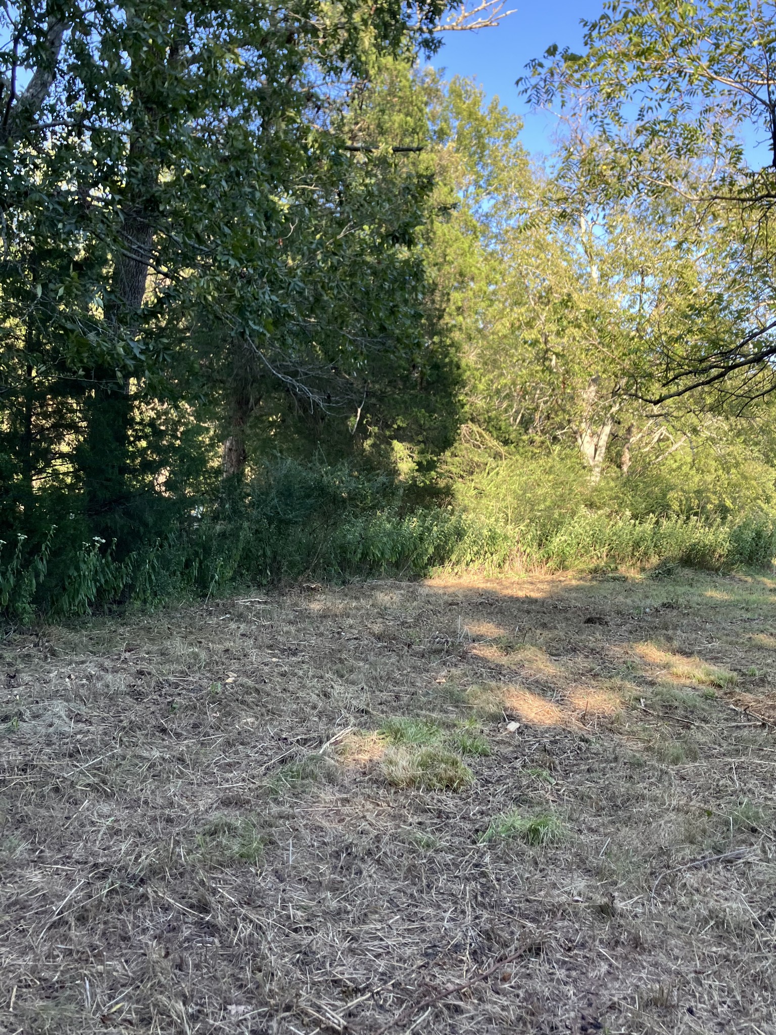 0 Mullins Chapel Rd Property Photo 17