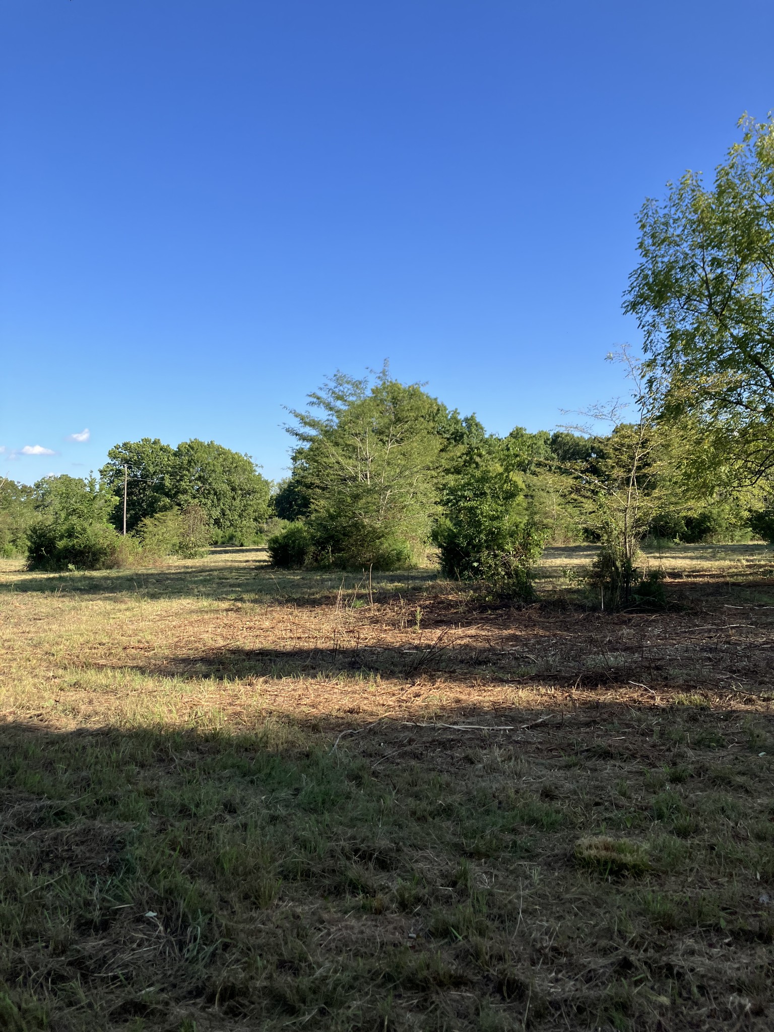 0 Mullins Chapel Rd Property Photo 21