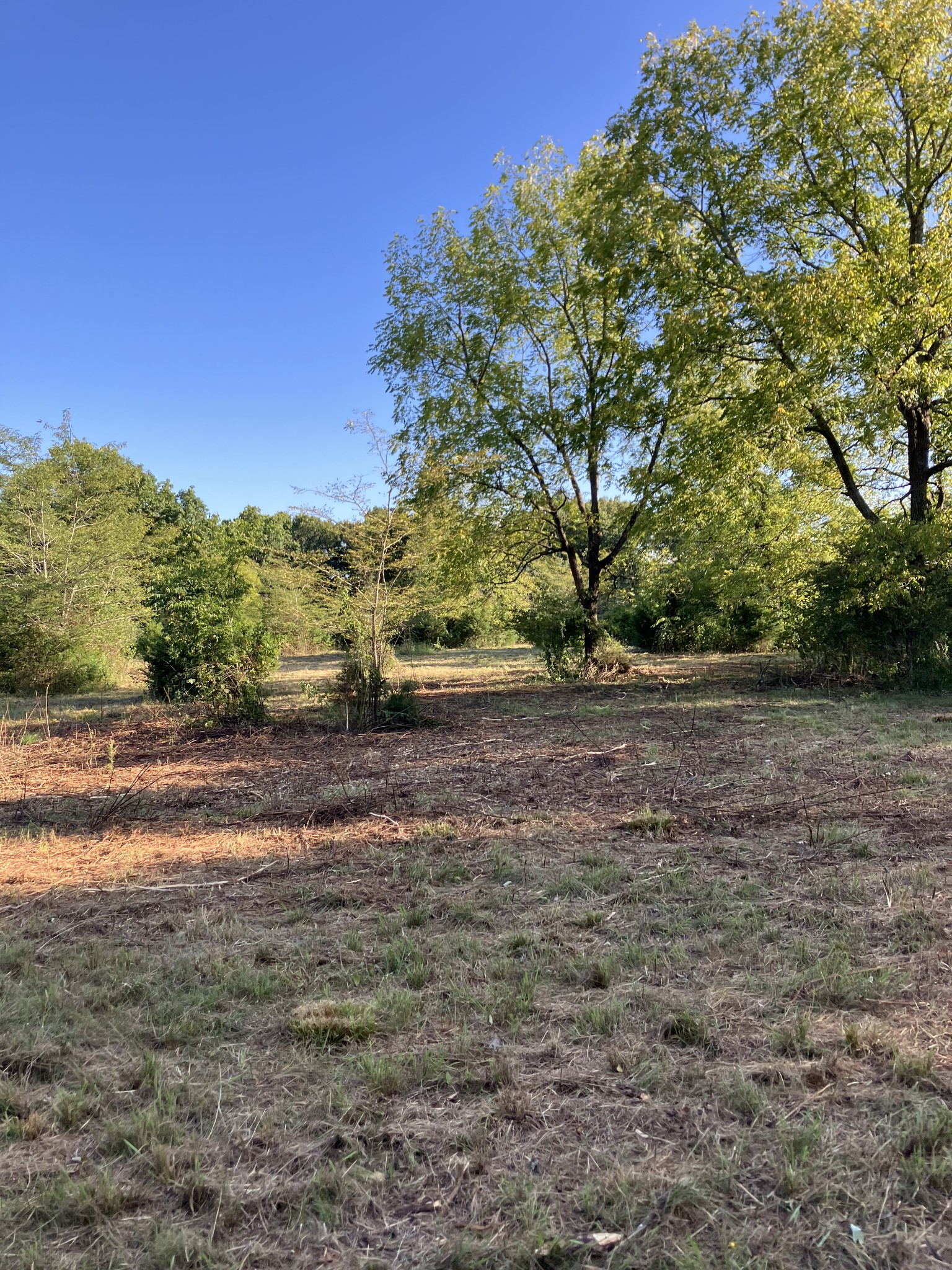 0 Mullins Chapel Rd Property Photo 22