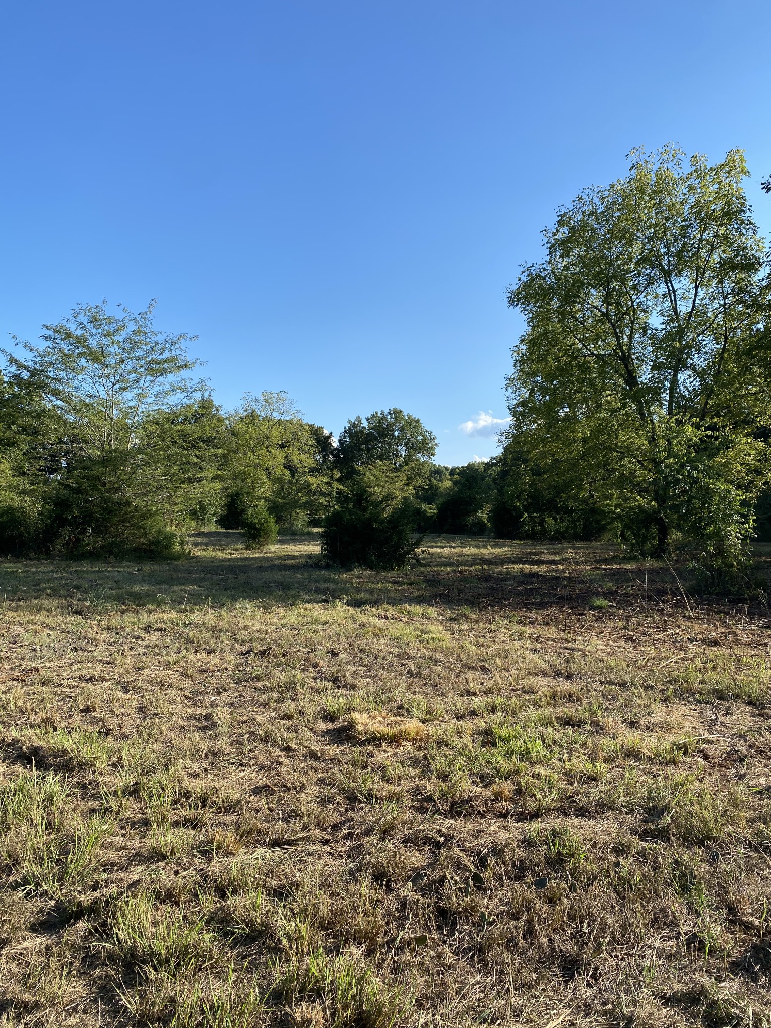 0 Mullins Chapel Rd Property Photo 23