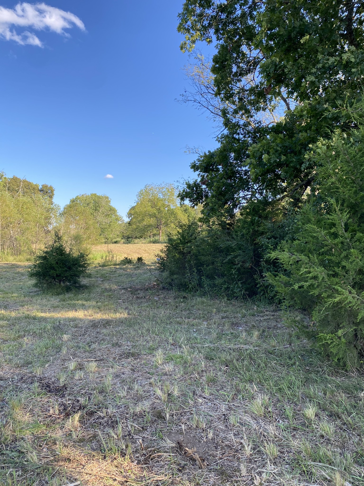 0 Mullins Chapel Rd Property Photo 29