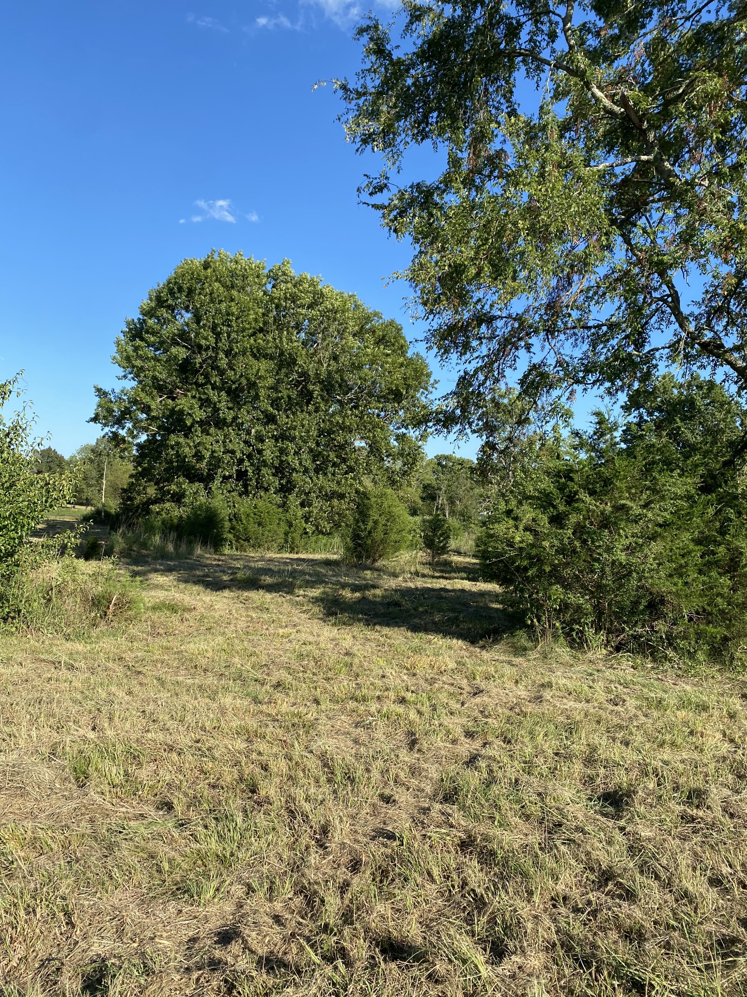 0 Mullins Chapel Rd Property Photo 30