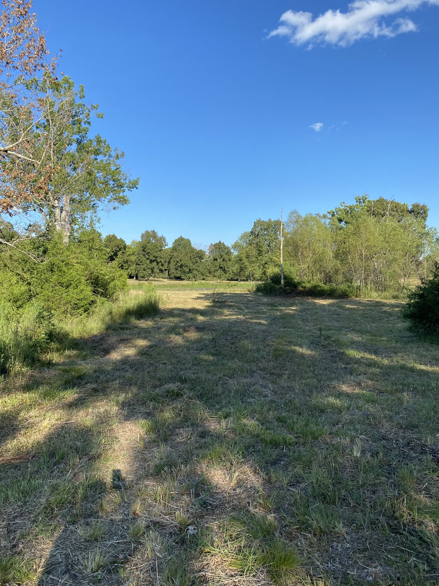 0 Mullins Chapel Rd Property Photo 31
