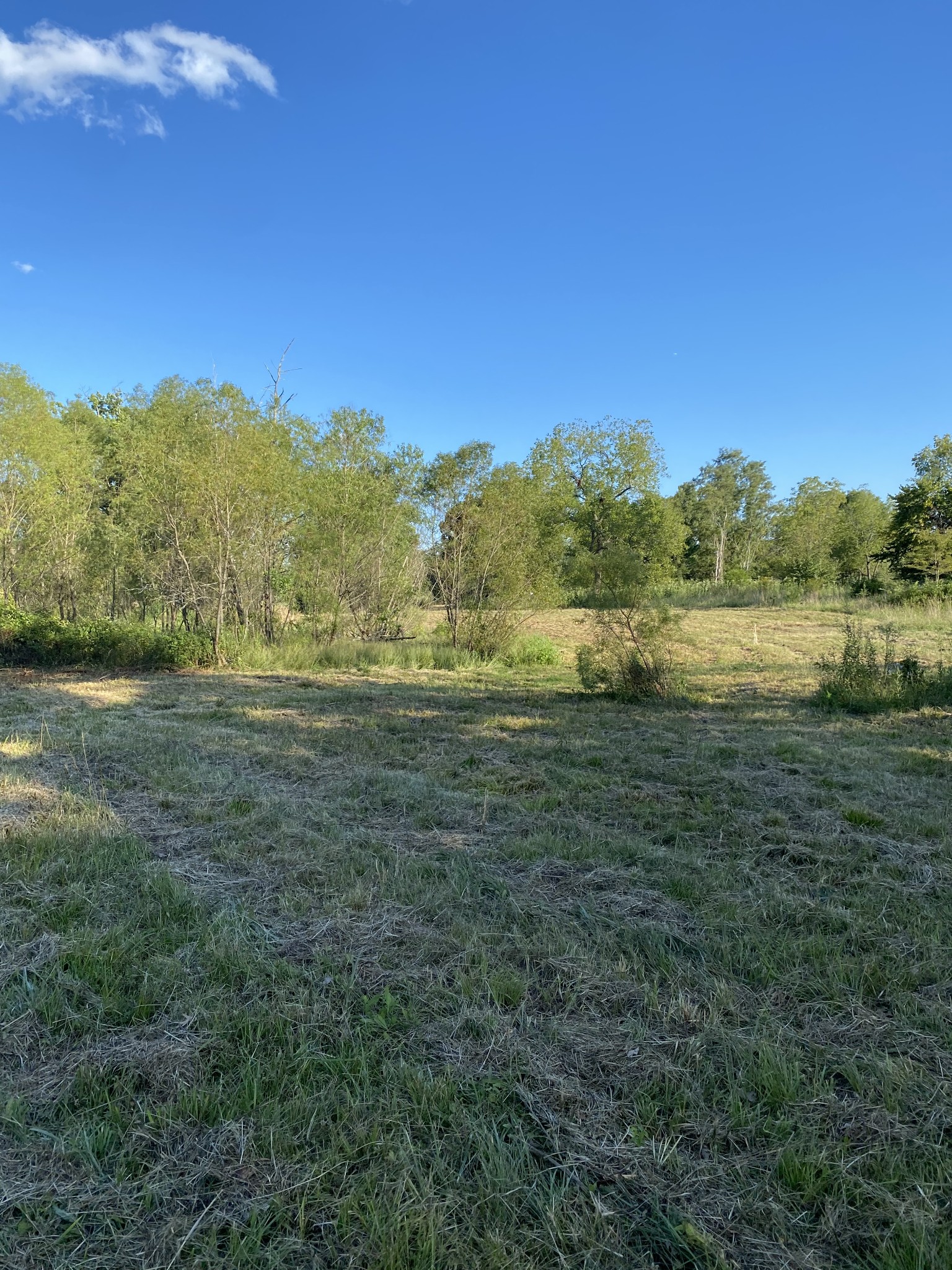 0 Mullins Chapel Rd Property Photo 34