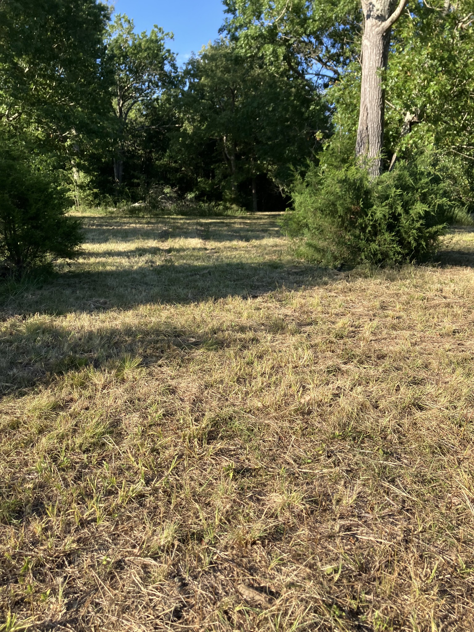 0 Mullins Chapel Rd Property Photo 40
