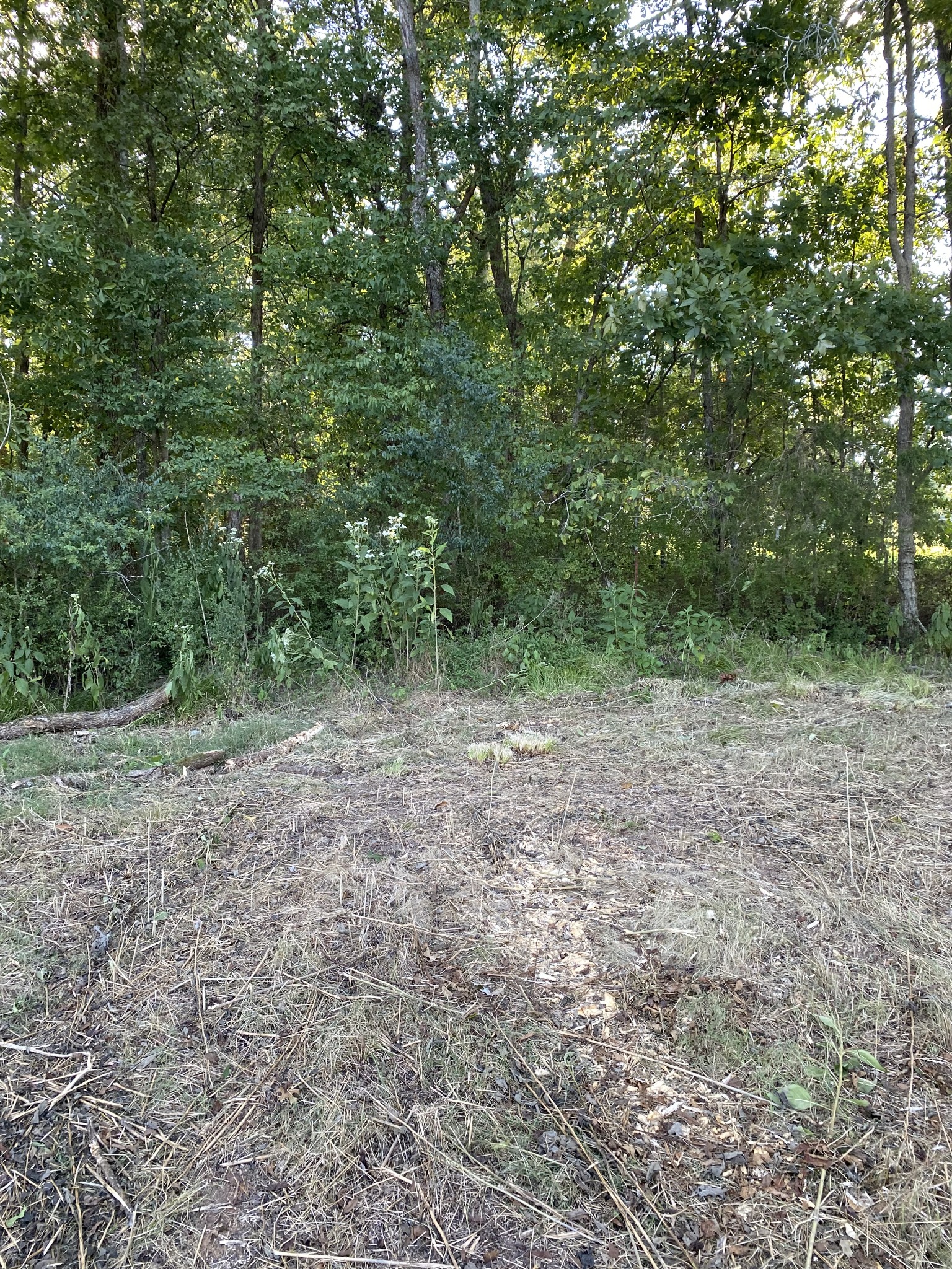 0 Mullins Chapel Rd Property Photo 58